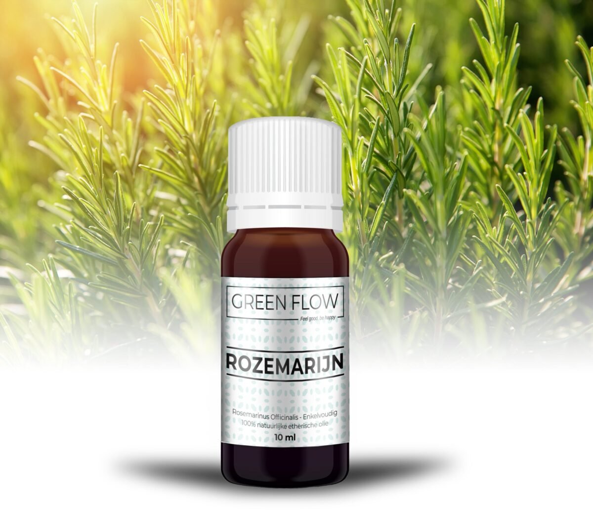 Rozemarijn - 10 Ml - 100% Natuurzuivere Etherische Olie - Afbeelding 1